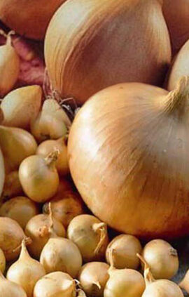 Цибуля Радар сітка 10 кг розмір 8/21