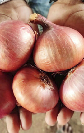 Цибуля Розанна сітка 1 кг розмір 10/12