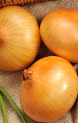 Цибуля Сеншуй сітка 1 кг розмір 10/12