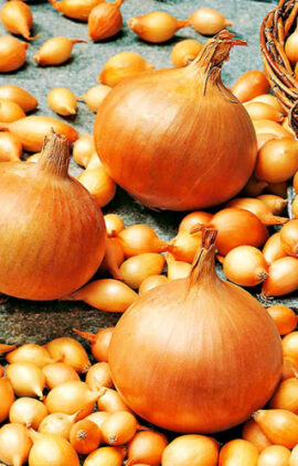 Цибуля Сеттон сітка 1 кг розмір 10/12