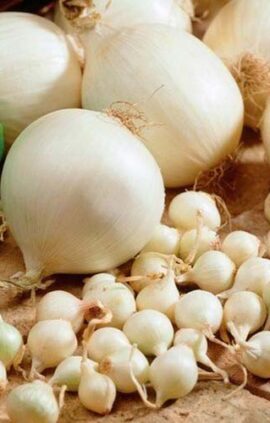 Цибуля Сноуболл сітка 1 кг розмір 10/12