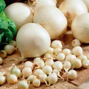 Цибуля Сноуболл сітка 1 кг розмір 10/12