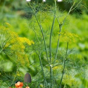 Кріп Супер дукат пакет 10 грам