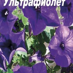 Петуния Ультрафиолет пакет 0