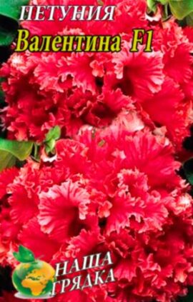 Петуния махровая Валентина F1 пакет 0