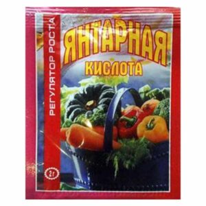Янтарная кислота 2 г