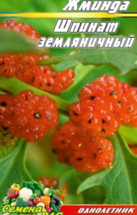 Жминда шпинат суничний